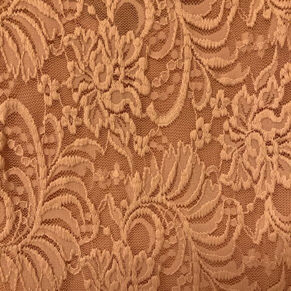 Bebe blush lace long sleeve dress XL - Picture 8 of 16